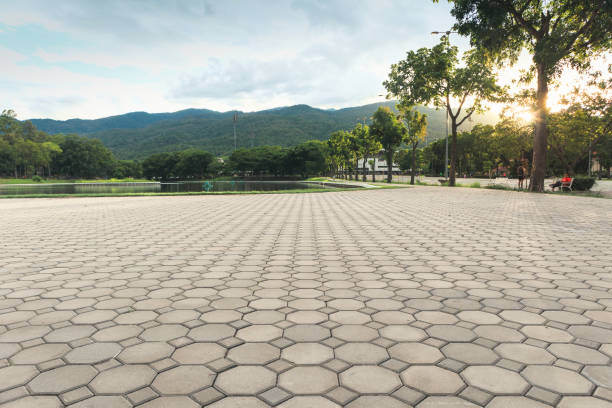 Best Decorative Driveway Pavers  in Little River, SC